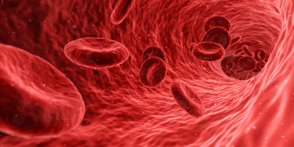 La importància de l'osmosi a la sang és vital pel nostre funcionament. Si vols saber més, entra a la nostra web. 